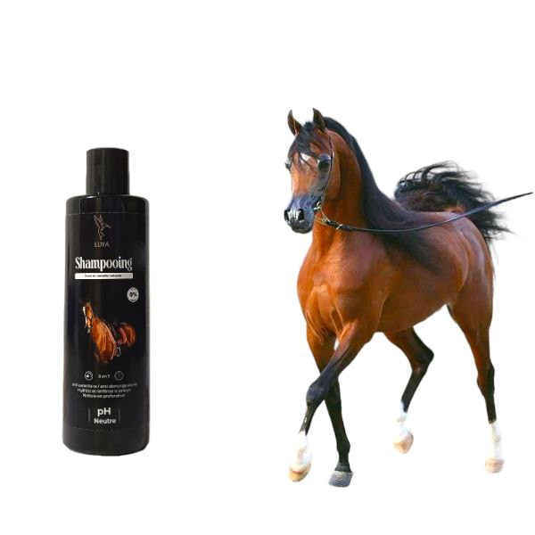 شامبو بمستخلصات طبيعية للخيول