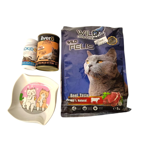 مجموعة قطط 4 قطع - تغذية، فيتامينات، صحة، وتغذية للقطط الصغيرة