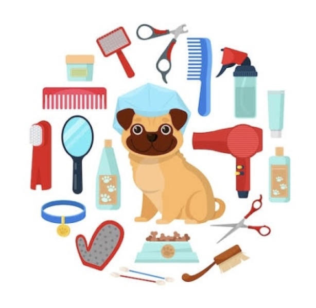 Le toilettage chez les chien